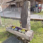 Daire Familie Weissenbach Elbigenalp